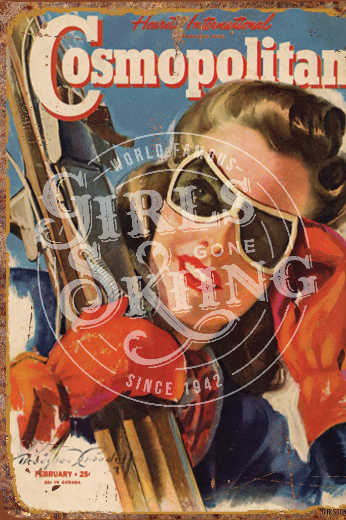 Vintage Cosmopolitan Ski Cover